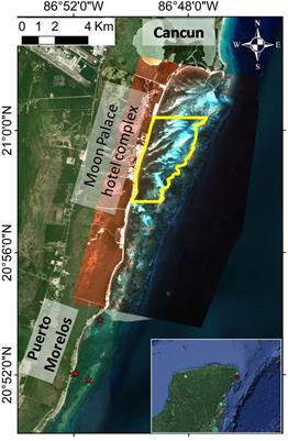 Mapping the structure of mixed seagrass meadows in the Mexican Caribbean